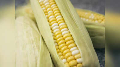 अच्छे टेस्ट और हेल्थ के लिए भी ट्राय करें ये रेडी टू ईट Sweet Corns