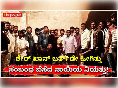 ಕೇಕ್ ಕತ್ತರಿಸಿ ಬೀದಿ ನಾಯಿ ಜನ್ಮದಿನ ಆಚರಿಸಿದ ಚಿಕ್ಕಬಳ್ಳಾಪುರದ ಎಡಿ ಕಾಲೋನಿಯ ಸ್ನೇಹಿತರ ಬಳಗ!