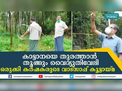 കാട്ടാനയെ തുരത്താൻ തൂങ്ങും വൈദ്യുതിവേലി ഒരുക്കി കർഷകരുടെ വാട്സാപ്പ് കൂട്ടായ്‌മ    