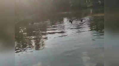 MP News : एमपी में तालाब में डूबने से सात बच्चों की मौत, भिंड और सतना में घटी है घटना