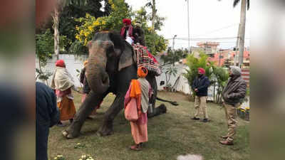 हाथी पर बैठने से क्या कोई मुख्यमंत्री बन सकता है? पंजाब में चरणजीत सिंह चन्नी का टोटका तो सच हो गया