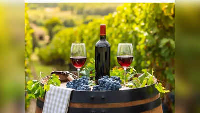 Wine benefits: आयुर्वेद ने शराब को बताया दवा, रेड वाइन से मिल सकती है लंबी उम्र; ऐसे पिएंगे तो मिलेंगे कई फायदे