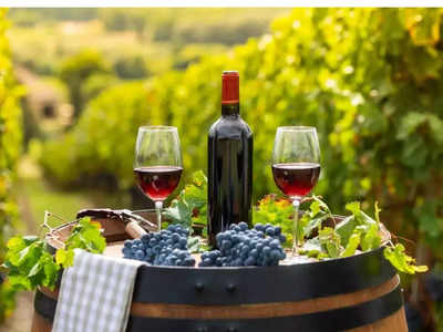 Wine benefits: आयुर्वेद ने शराब को बताया दवा, रेड वाइन से मिल सकती है लंबी उम्र; ऐसे पिएंगे तो मिलेंगे कई फायदे