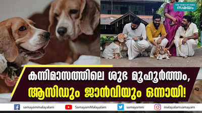 കന്നിമാസത്തിലെ ശുഭ മൂഹൂർത്തം,   ആസിഡും ജാൻവിയും ഒന്നായി!