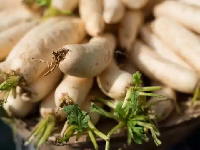 ​ಮೂಲಂಗಿಯಲ್ಲಿ ಕಬ್ಬಿಣದಂಶ ಯತೇಚ್ಚವಾಗಿ ಸಿಗುತ್ತದೆ