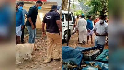 150 ലേറെ വര്‍ഷം പഴക്കമുള്ള ക്ഷേത്ര വിഗ്രഹം മോഷണം പോയി; കണ്ടെടുത്തത് സമീപത്തെ പച്ചക്കറി കടയില്‍ നിന്ന്! വീഡിയോ കാണാം