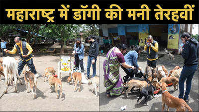 Nasik Doggy News: महाराष्ट्र में डॉगी की मनी तेरहवीं, 60 डॉगी और 10 गाय हुईं शामिल