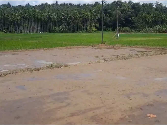 പ്രത്യേകതകള്‍ ഏറെ