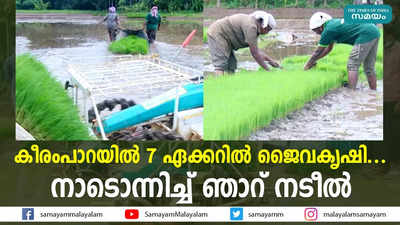 കീരംപാറയില്‍ 7 ഏക്കറില്‍ ജൈവകൃഷി....നാടൊന്നിച്ച് ഞാറ് നടീല്‍