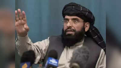 सुहैल शाहीन को मिला वफादारी का इनाम, संयुक्त राष्ट्र के लिए तालिबान ने किया नामित