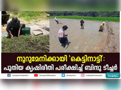 നൂറുമേനിക്കായി കെട്ടിനാട്ടി: പുതിയ കൃഷിരീതി പരീക്ഷിച്ച് ബിന്ദു ടീച്ചര്‍