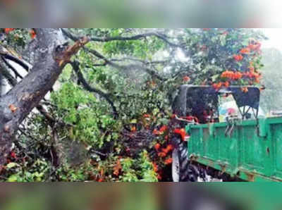 ಬೆಂಗಳೂರಿನಲ್ಲಿ ಇನ್ನೂ ಮೂರು ದಿನ  ಗುಡುಗು, ಮಿಂಚು ಸಹಿತ ಭಾರೀ ಮಳೆ ಸಾಧ್ಯತೆ!