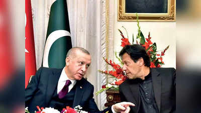 तुर्की के राष्‍ट्रपति ने कश्‍मीर पर संयुक्‍त राष्‍ट्र में फिर उगला जहर, पाकिस्‍तान की तरफदारी