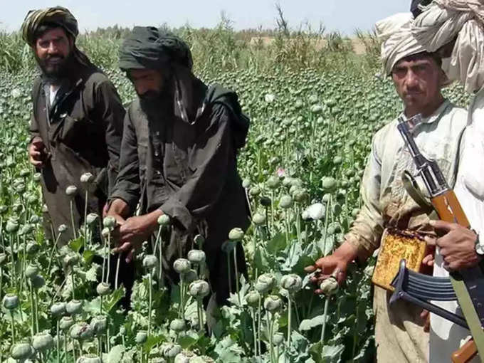 taliban