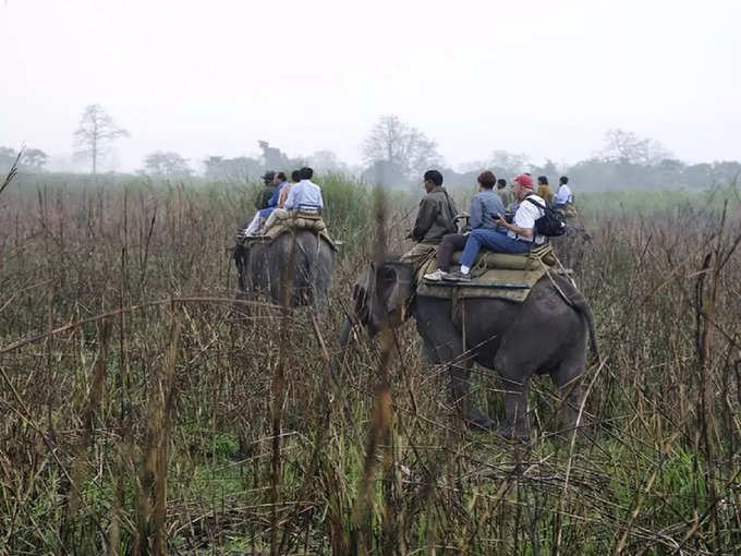 जिम कॉर्बेट नेशनल पार्क में हाथी सफारी - Elephant Safari in Jim Corbett National Park in Hindi