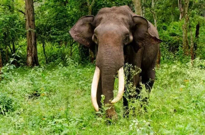 ​ಬೆಳೆ ನಷ್ಟಕ್ಕೆ ಪರಿಹಾರವೂ ಸಿಗ್ತಿಲ್ಲ