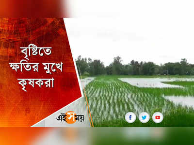 বৃষ্টিতে ক্ষতির মুখে কৃষকরা