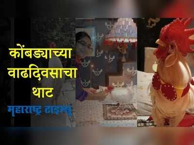 Nagpur : नागपुरात साजरा केला कोंबड्याचा वाढदिवस