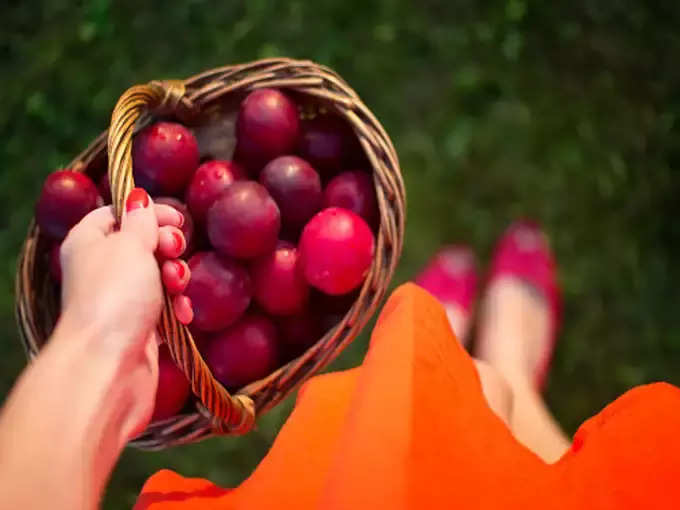 ​ಪೋಷಕಾಂಶಗಳು ಅತಿ ಸಮೃದ್ಧವಾಗಿವೆ