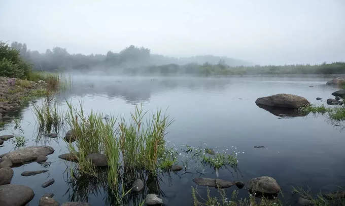 ব্রাজিল