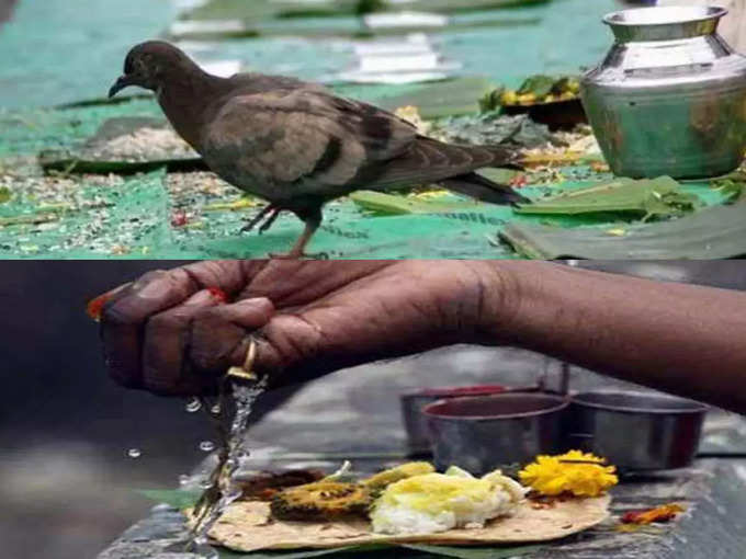 ​पंचग्रास दानाचे विशेष महत्त्व