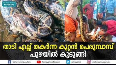 താടി എല്ല് തകര്‍ന്ന കൂറ്റന്‍ പെരുമ്പാമ്പ് പുഴയില്‍ കുടുങ്ങി