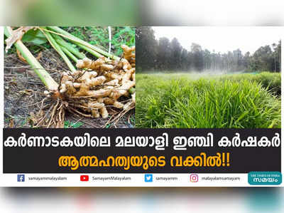 കര്‍ണാടകയിലെ മലയാളി ഇഞ്ചി കര്‍ഷകര്‍  ആത്മഹത്യയുടെ വക്കില്‍!!