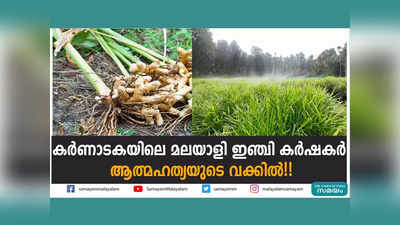 കര്‍ണാടകയിലെ മലയാളി ഇഞ്ചി കര്‍ഷകര്‍ ആത്മഹത്യയുടെ വക്കില്‍!! വീഡിയോ കാണാം