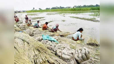 চটকলে স্থায়ী নিয়োগ বন্ধের সুপারিশ রাজ্যে