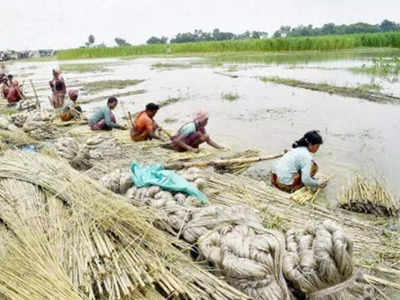 চটকলে স্থায়ী নিয়োগ বন্ধের সুপারিশ রাজ্যে