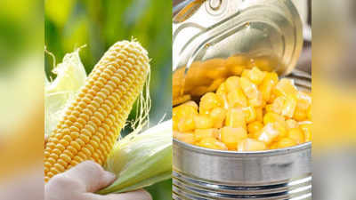 स्वादिष्ट चव आणि आरोग्यासाठी खा हे sweet corn