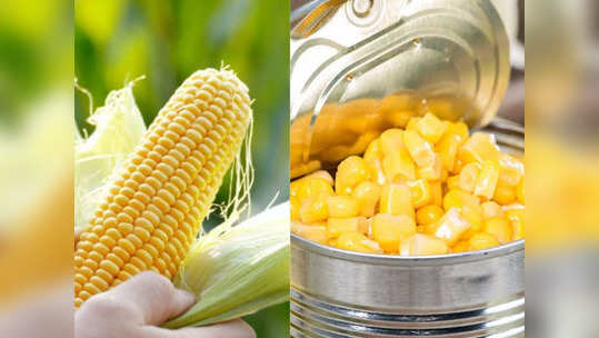 स्वादिष्ट चव आणि आरोग्यासाठी खा हे sweet corn