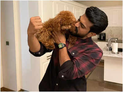 Ram charan: రామ్‌చ‌ర‌ణ్ ఫ్యామిలీలోకి కొత్త స‌భ్యుడు...ఫొటో వైర‌ల్‌!