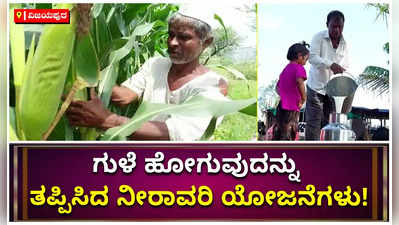 ವಿಜಯಪುರದಲ್ಲಿ ರೈತರ ಕೈ ಹಿಡಿದ ನೀರಾವರಿ ಯೋಜನೆ; ಗುಳೆಯ ಬದುಕಿಗೆ ಅಂತ್ಯ ಹಾಡಿದ ಅನ್ನದಾತ