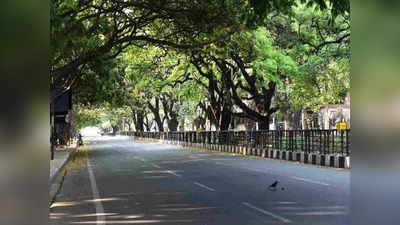 दिल्ली में राजमार्ग के निर्माण के लिए काटे जा सकते हैं दो हजार से अधिक पेड़, वन विभाग से मांगी अनुमति