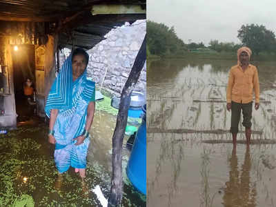 Houses Flooded In Solapur: उत्तर सोलापूर तालुक्याला पावसाचा मोठा तडाखा; घरे पाण्यात, तर शेतीचे प्रचंड नुकसान
