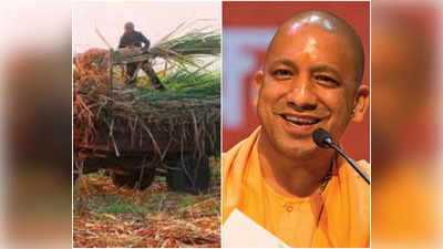 UP Elections: यूपी में चुनाव से पहले योगी सरकार ने खेला मास्‍टरस्‍ट्रोक, गन्‍ने का भाव 25 रुपये बढ़ा किसानों को किया खुश