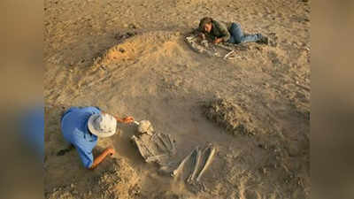 Archaeological Discovery : अमेरिका में कैसे पनपी मानव सभ्यता? पैरों के निशान ने हजारों साल पुराने रहस्य को खोला