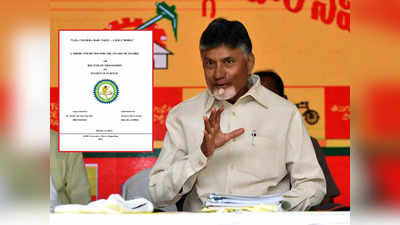 Chandrababu Naiduపై పీహెచ్‌డీ.. పండగ చేసుకుంటున్న తెలుగు తమ్ముళ్లు