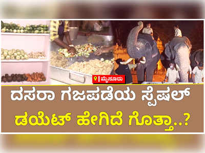 ಮೈಸೂರು: ದಸರಾ ಗಜಪಡೆಯ ಸ್ಪೆಷಲ್‌ ಡಯೆಟ್‌ ಹೇಗಿದೆ ಗೊತ್ತಾ