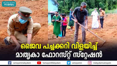 ജൈവ പച്ചക്കറി വിളയിച്ച് മാതൃകാ ഫോറസ്റ്റ് സ്‌റ്റേഷന്‍