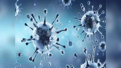 Coronavirus Updates: तेजी से विकसित हो रही हर्ड इम्युनिटी, अगले साल फ्लू की तरह कमजोर हो जाएगा कोरोना.. ऑक्सफोर्ड के प्रफेसर का दावा
