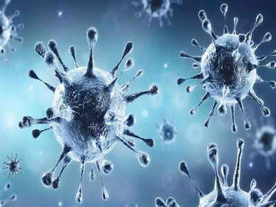 Coronavirus Updates: तेजी से विकसित हो रही हर्ड इम्युनिटी, अगले साल फ्लू की तरह कमजोर हो जाएगा कोरोना.. ऑक्सफोर्ड के प्रफेसर का दावा