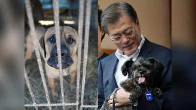 दक्षिण कोरिया में कुत्‍ते का मांस खाने पर लगेगा बैन, राष्‍ट्रपति बोले, बंद करो परंपरा