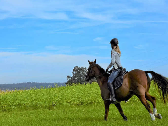 पुष्कर में घुड़सवारी - Horse riding in Pushkar in Hindi