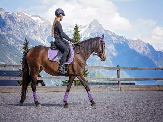 लद्दाख में घुड़सवारी - Horse riding in Ladakh in Hindi