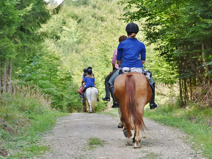 गुलमर्ग में घुड़सवारी - Horse riding in Gulmarg in Hindi