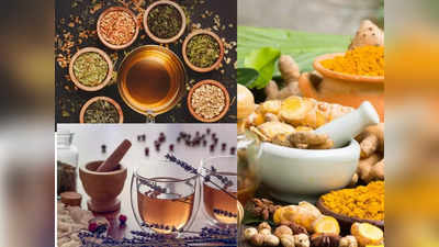 Ayurveda 6 taste: सभी की सेहत से जुड़े हैं खान-पान के ये 6 स्वाद, जानें इनका आयुर्वेदिक महत्व 