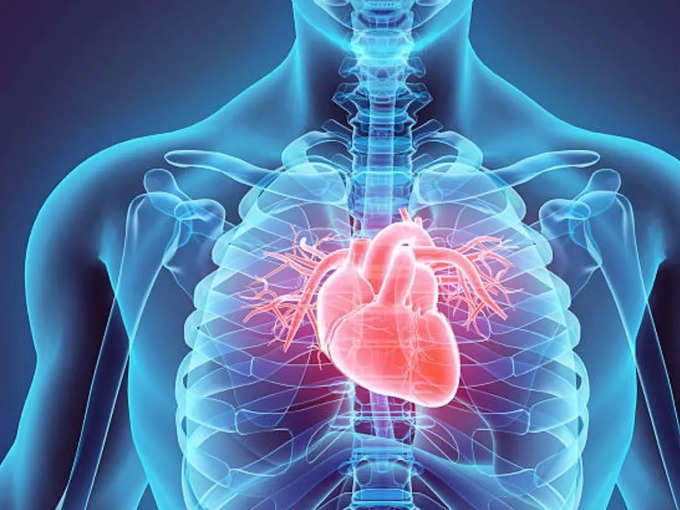 ​दिल की कार्यप्रणाली (Functioning of heart)