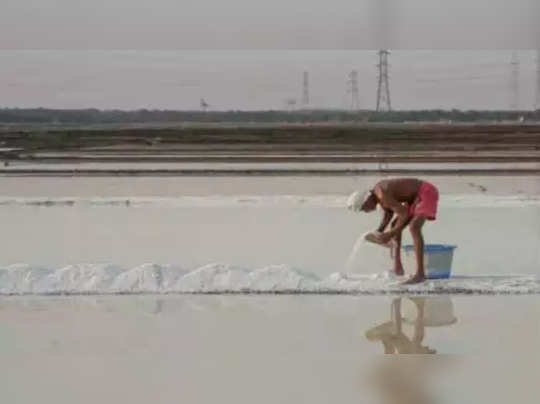 લંબાયેલું ચોમાસુ અગરિયાઓને નડ્યું, મીઠું પકવવામાં વિલંબ થતાં આગામી વર્ષોમાં સર્જાઈ શકે તંગી 